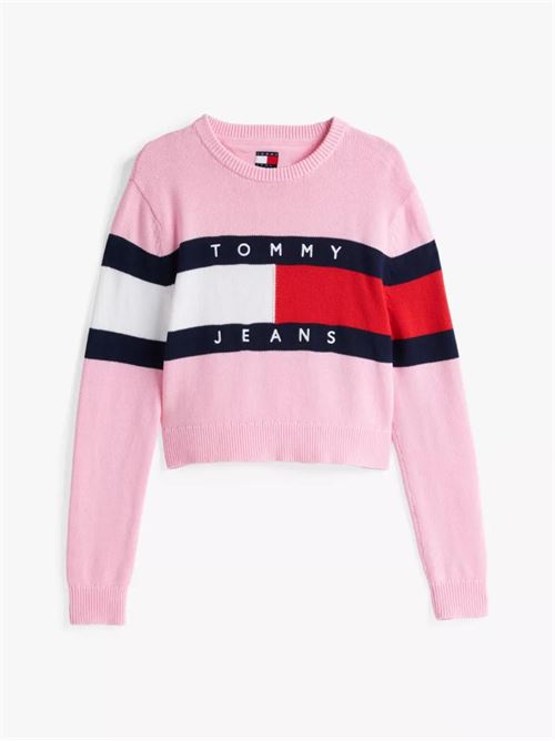 TJW CENTER FLAG SWEA TOMMY JEANS | DW0DW19335/TPF